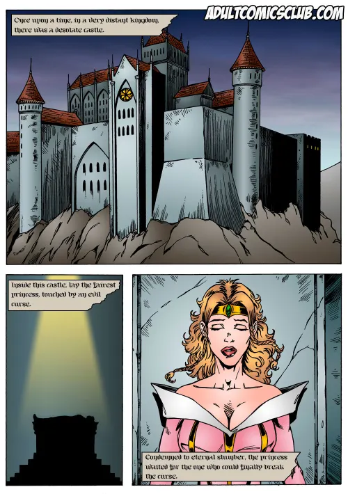 Sleeping Beauty Sleeping Beauty  (Chapter 01)