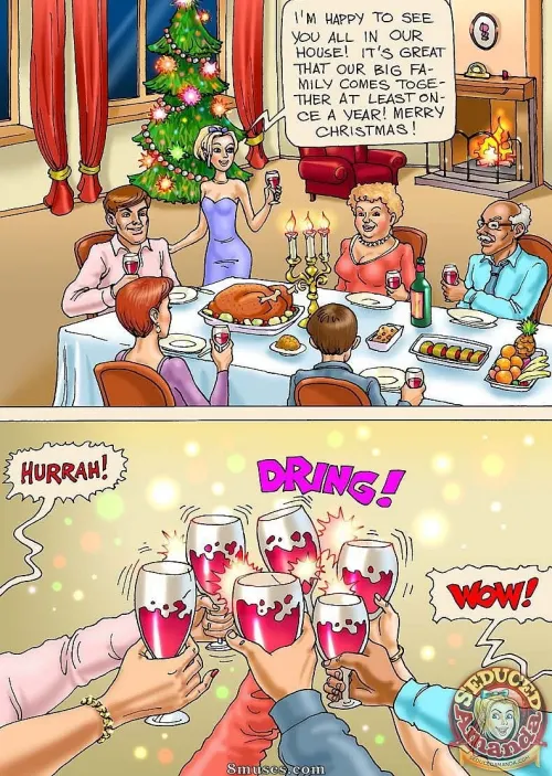 Seduced Amanda (Chapter 11 - Christmas-Turkey)